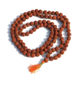 JEEZSA Black Rudraksha Mala