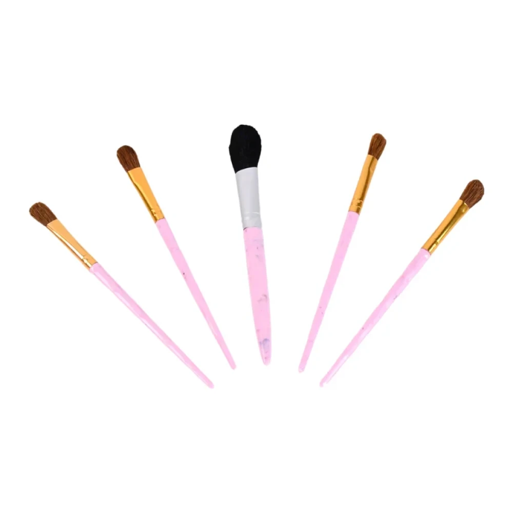 JEEZSA 5pc Makeup Brush tools kit (5 Pcs Set / Mix Color)