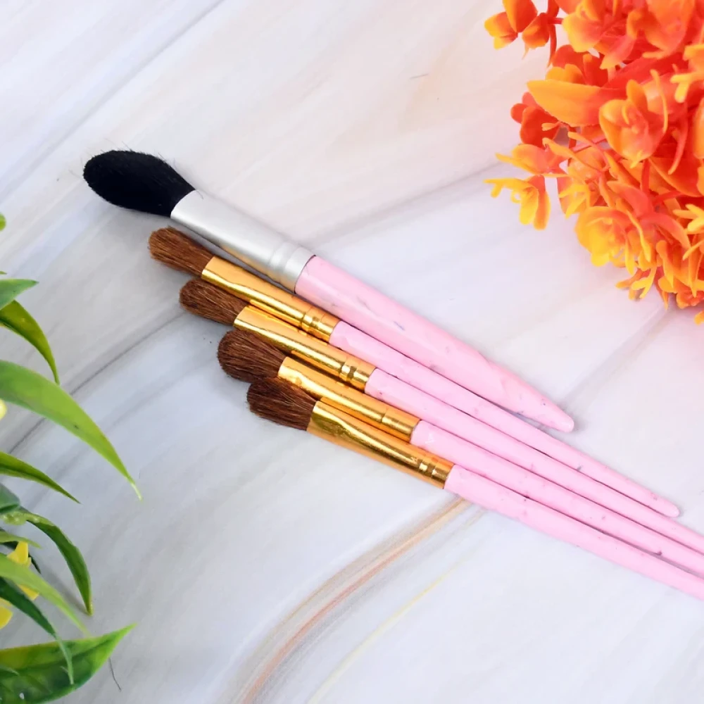 JEEZSA 5pc Makeup Brush tools kit (5 Pcs Set / Mix Color)